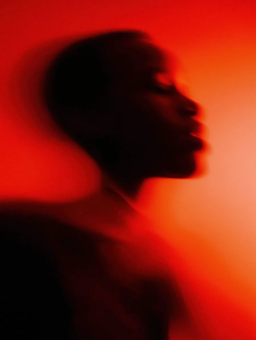 A profile in silhouette against a deep red ground, the face lit only along its edge.