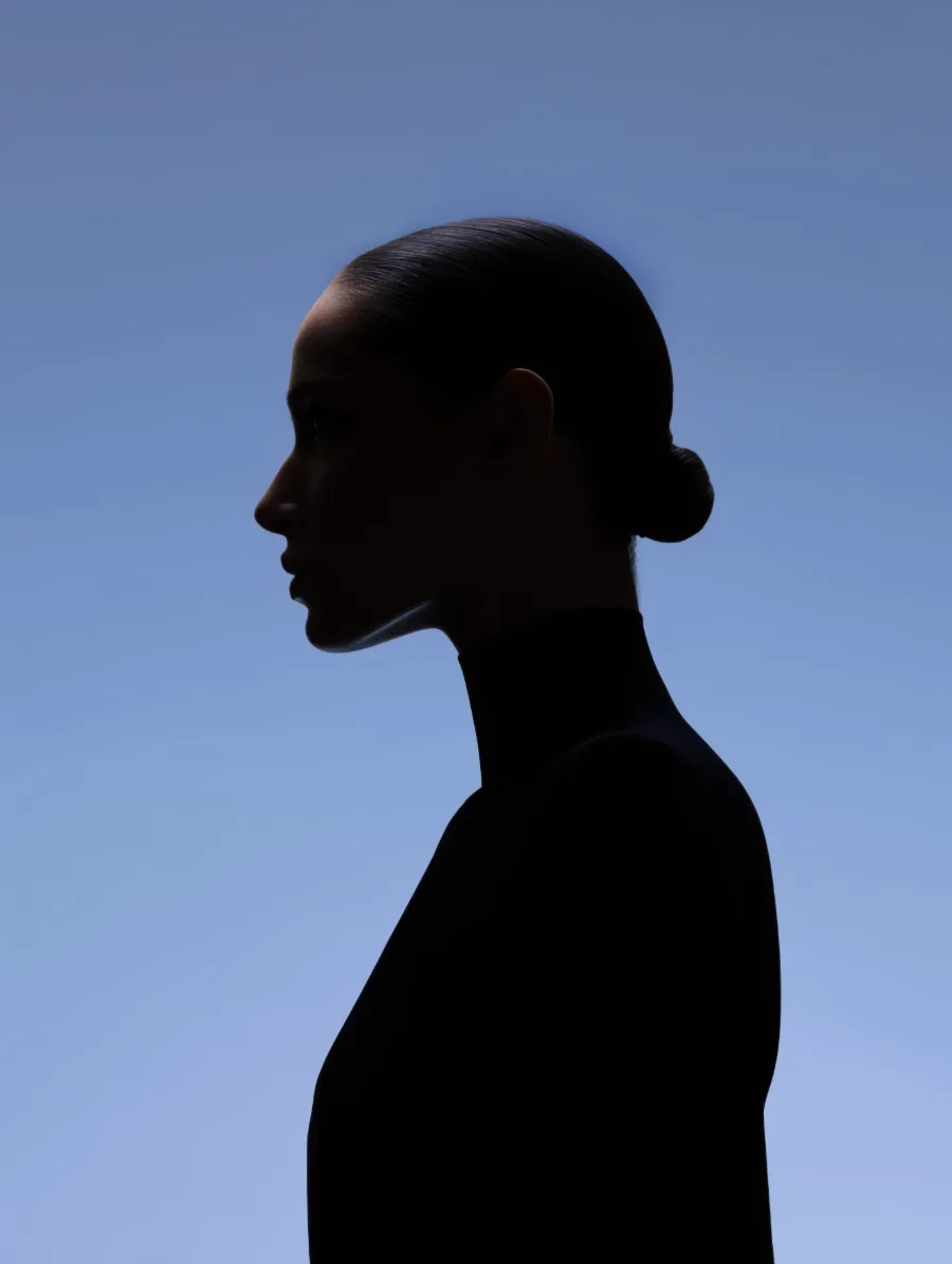 A profile in silhouette against a clear evening sky.