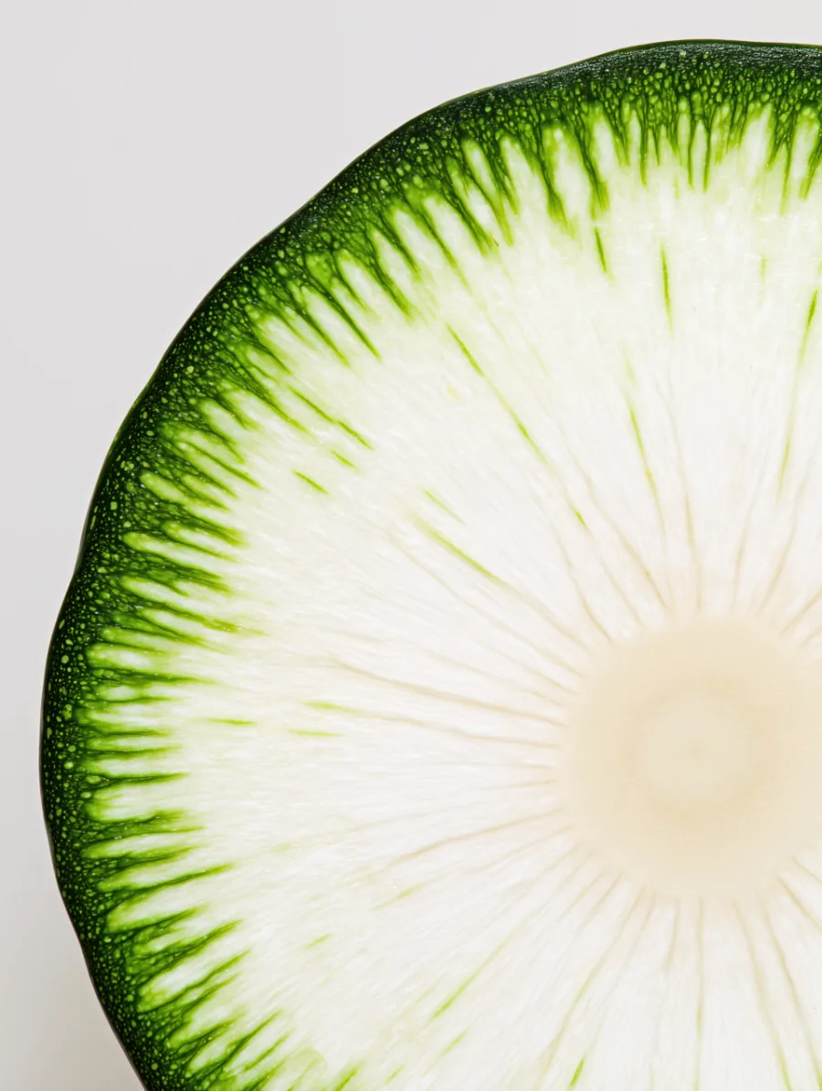 A watermelon radish cut across, its green rim and pale centre on a light ground.